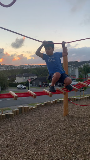 86 Harvest Ave Playground 20250818 161931 012