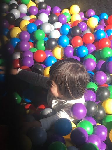 APEX for Kids Active Play Experience for Kids 20250727 095655 001