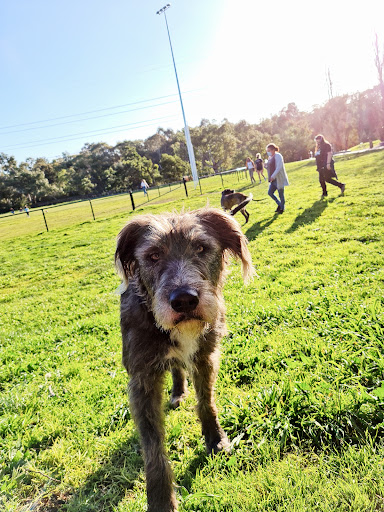 A H Capp Reserve 20250824 034057 008