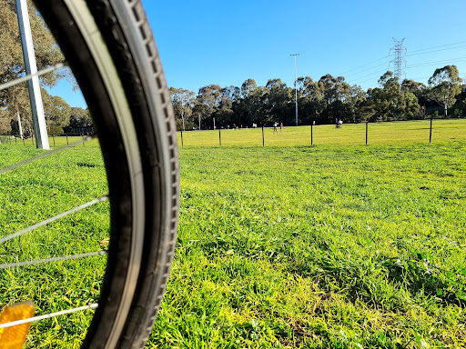 A H Capp Reserve 20250824 034058 009