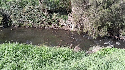 A H Capp Reserve 20250824 034101 014