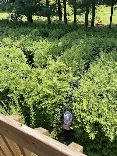 A maze ing Acres Adventure Playland 20250727 061112 015