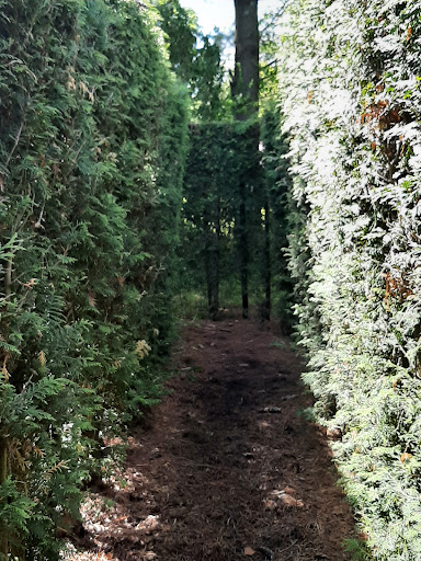 A maze ing Acres Adventure Playland 20250727 061115 019