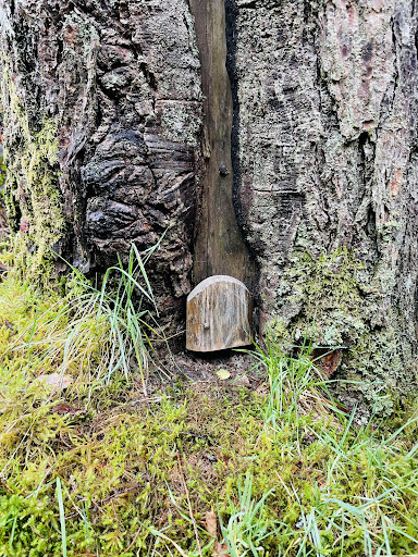 Aberdar Holiday Cottage 20250808 182228 004