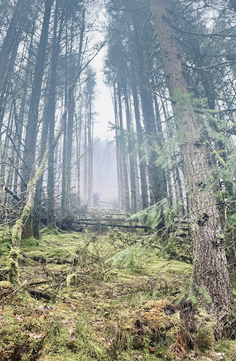 Aberdar Holiday Cottage 20250808 182229 005