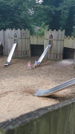 Adventure Cove Wild Woodland 20250808 152915 003