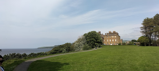 Adventure Cove Wild Woodland 20250808 152918 007