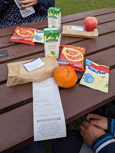 Adventure Cove Wild Woodland 20250808 152921 010