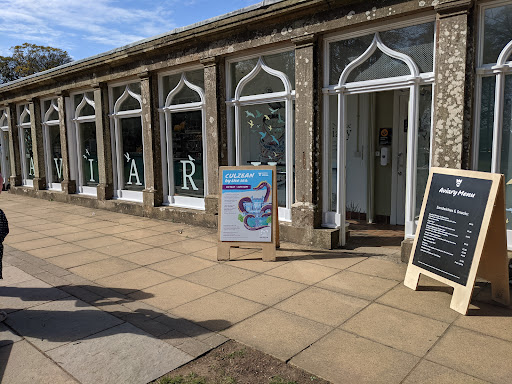 Adventure Cove Wild Woodland 20250808 152923 013