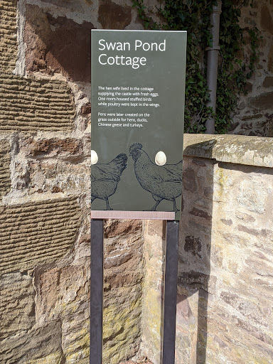 Adventure Cove Wild Woodland 20250808 152924 014