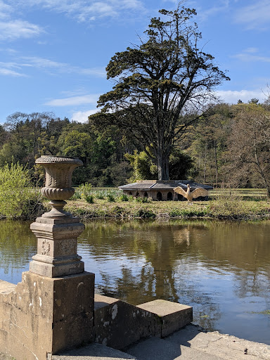 Adventure Cove Wild Woodland 20250808 152925 015