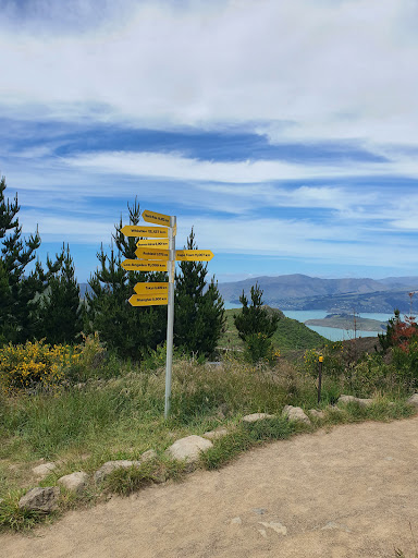 Adventure Park Parking 20250818 171603 001