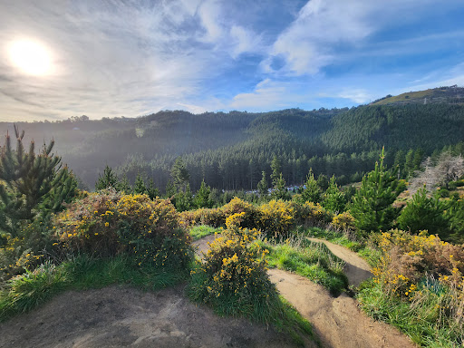 Adventure Park Parking 20250818 171607 005