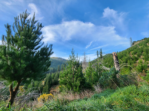 Adventure Park Parking 20250818 171608 006