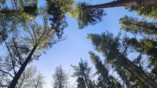 Adventure Park Parking 20250818 171616 015