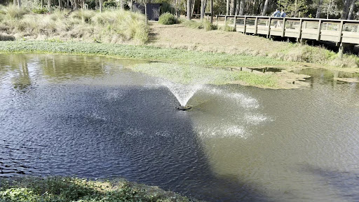 Adventure Playground 20250726 191429 005