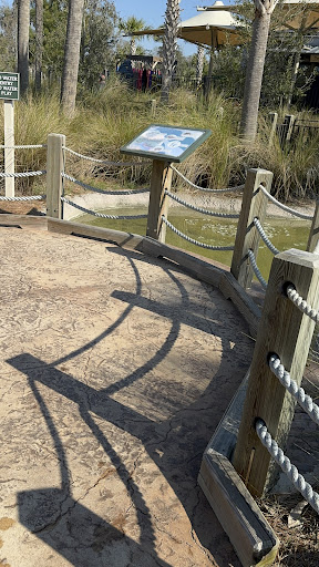 Adventure Playground 20250726 191434 011