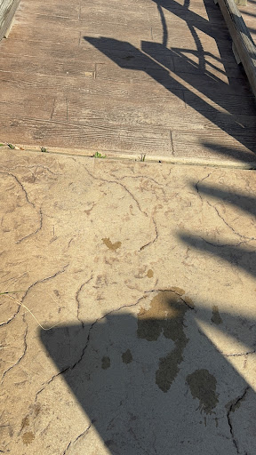 Adventure Playground 20250726 191435 012