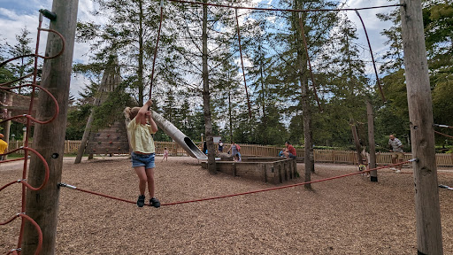 Adventure Playground 20250808 154058 007