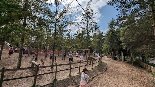 Adventure Playground 20250808 154059 008