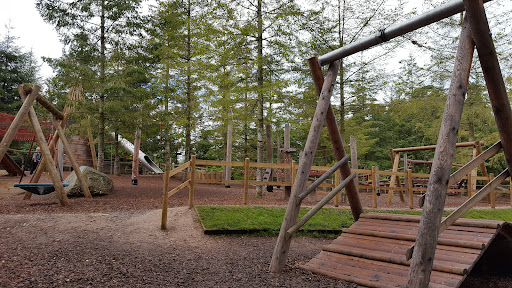Adventure Playground 20250808 154102 011