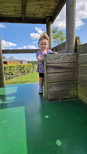 Adventure Playground 20250808 175026 006