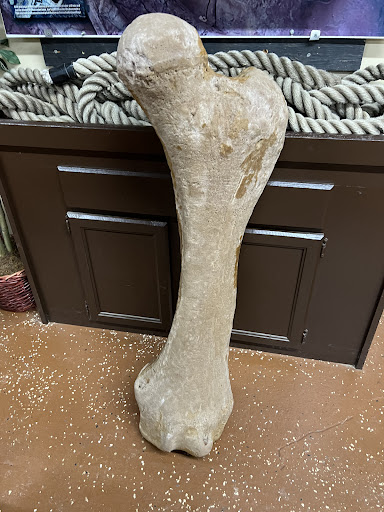 Akron Fossils Science Center 20250727 041511 003