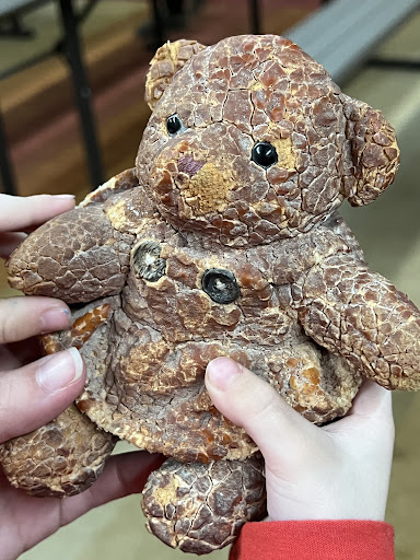 Akron Fossils Science Center 20250727 041512 004