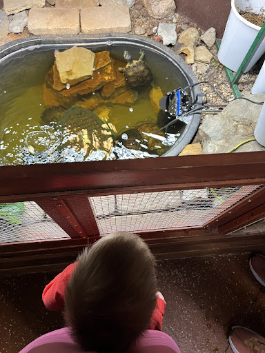 Akron Fossils Science Center 20250727 041517 011