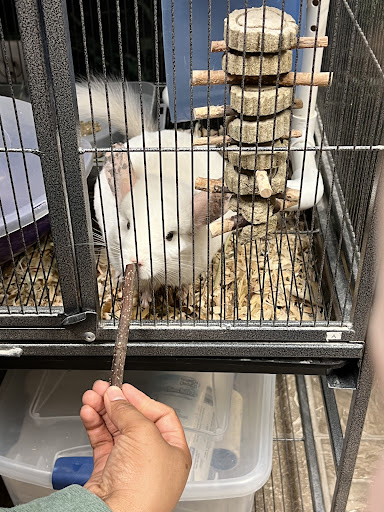 Akron Fossils Science Center 20250727 041519 013