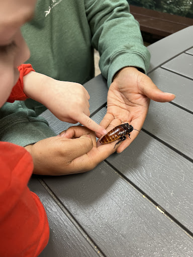 Akron Fossils Science Center 20250727 041520 014