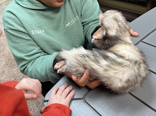 Akron Fossils Science Center 20250727 041521 015