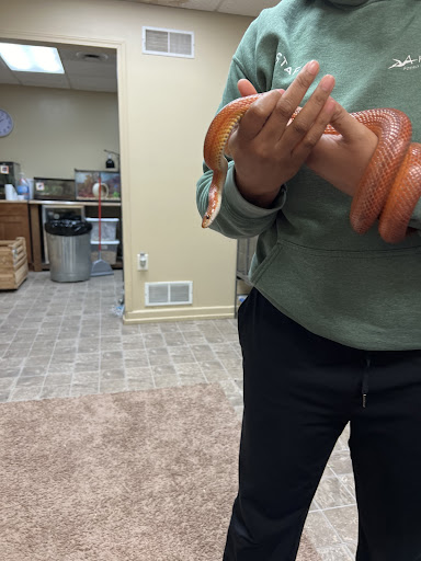 Akron Fossils Science Center 20250727 041521 016