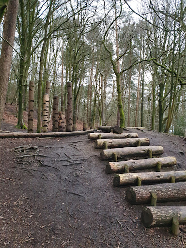 Alderley Edge Natural Play Area 20250808 170416 003
