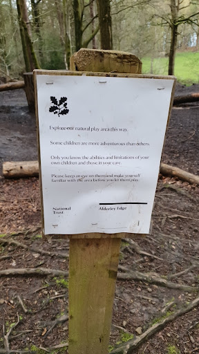 Alderley Edge Natural Play Area 20250808 170417 004