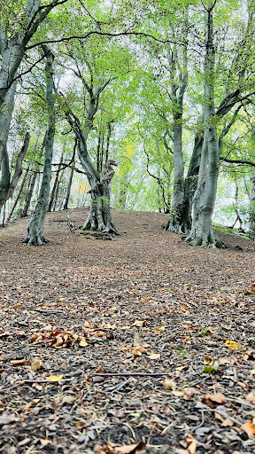 Allendale Recreation Ground 20250808 153531 001