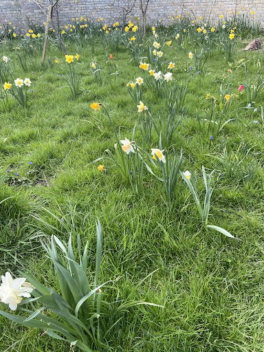 Alloa Wimpy Park 20250808 150435 002