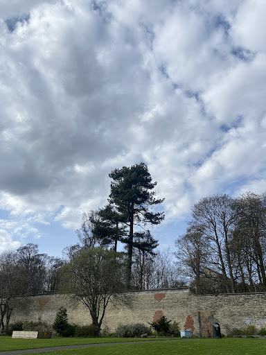 Alloa Wimpy Park 20250808 150437 005