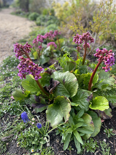 Alloa Wimpy Park 20250808 150438 006