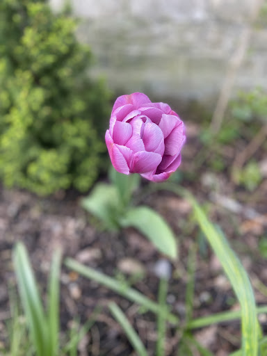 Alloa Wimpy Park 20250808 150439 008