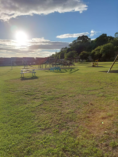 Alloa Wimpy Park 20250808 150442 011