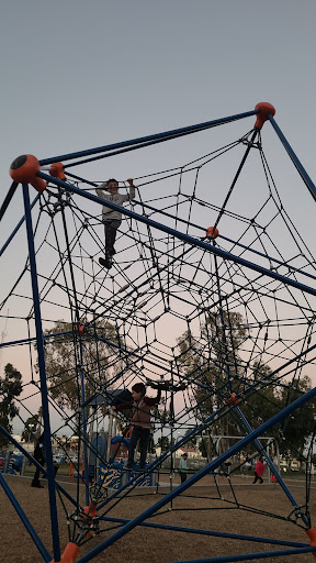 Annenberg Tree House 20250727 115719 001