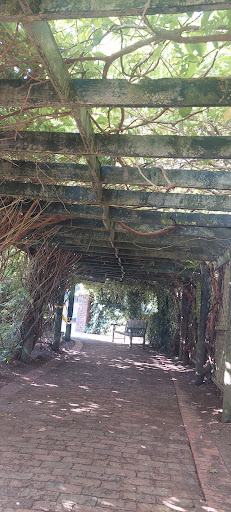 Aotea Lagoon Playground 20250818 170632 014