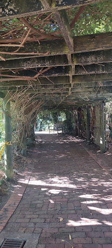 Aotea Lagoon Playground 20250818 170633 015