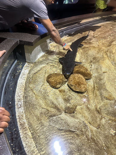 Aquarium Plaza 20250726 212811 002