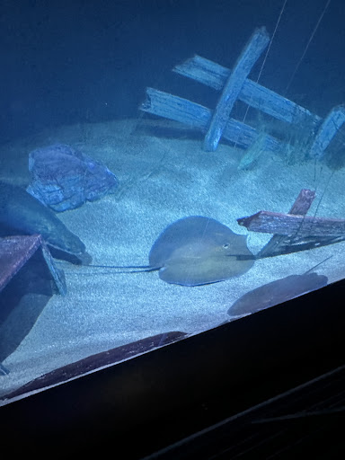 Aquarium Plaza 20250726 212811 003