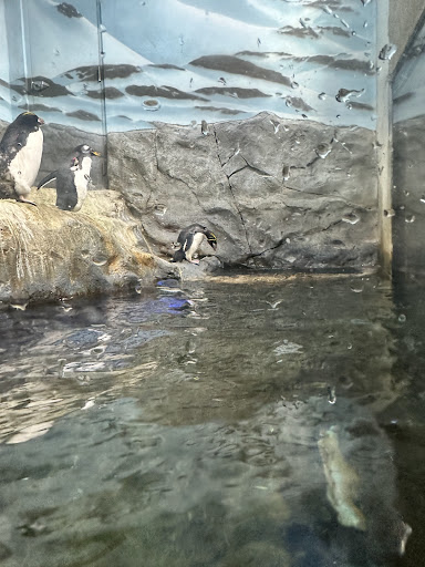 Aquarium Plaza 20250726 212814 006