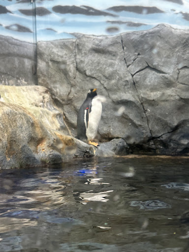 Aquarium Plaza 20250726 212815 008