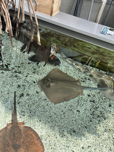 Aquarium Plaza 20250726 212817 010