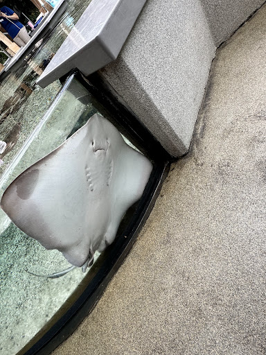 Aquarium Plaza 20250726 212818 011